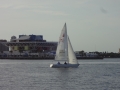 DSC02617