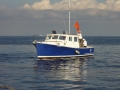 DSC02619
