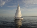 DSC02630