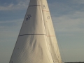 DSC02631