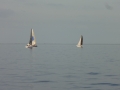 DSC02638