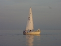 DSC02655
