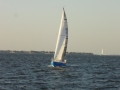 DSC02704
