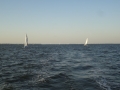 DSC02707