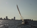 DSC02936