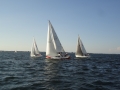 DSC02938