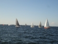 DSC02941