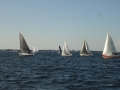 DSC02942