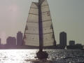 DSC02950