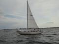 DSC03000