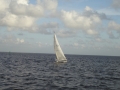 DSC03283