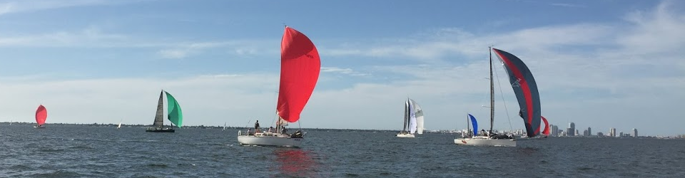 sailboat race st petersburg fl